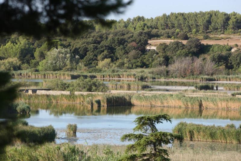 Bleu Lavande - Coquet Appartement Ambiance Village Istres Eksteriør bilde
